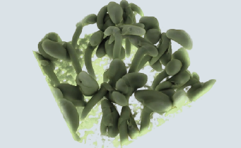 Opportunities for Dynamic CT Imaging in the Laboratory